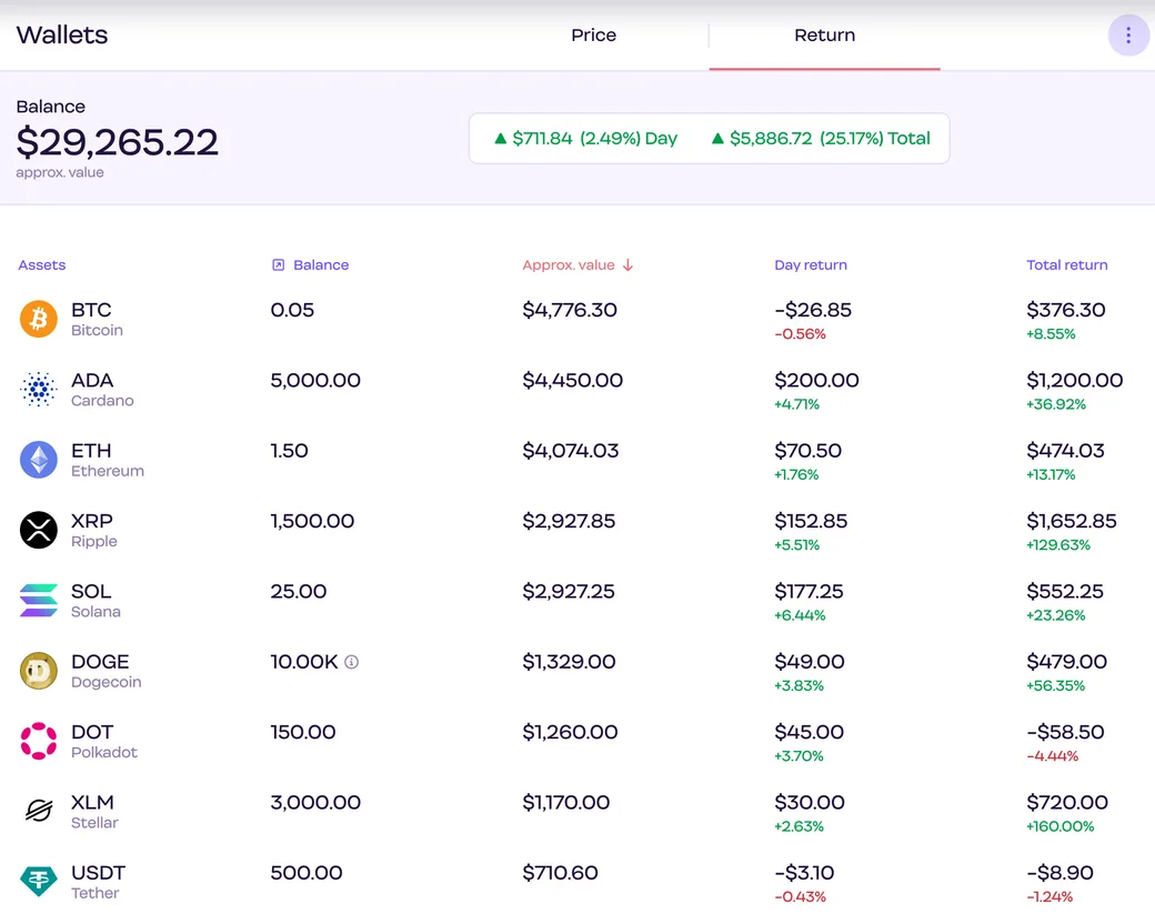 Digital Surge Wallets screen on the Return tab: a $29,265.22 balance with day and total return per coin