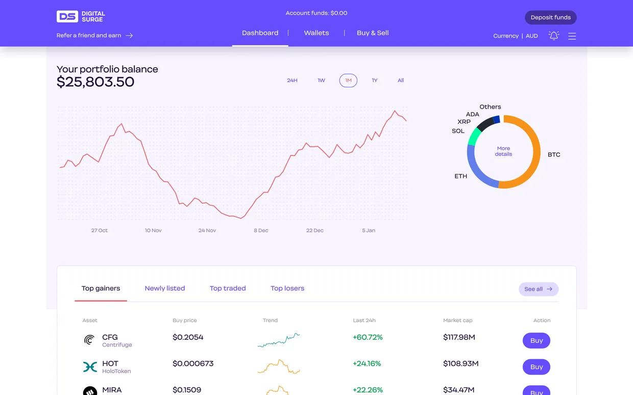 Digital Surge desktop dashboard showing holdings and balances, light mode